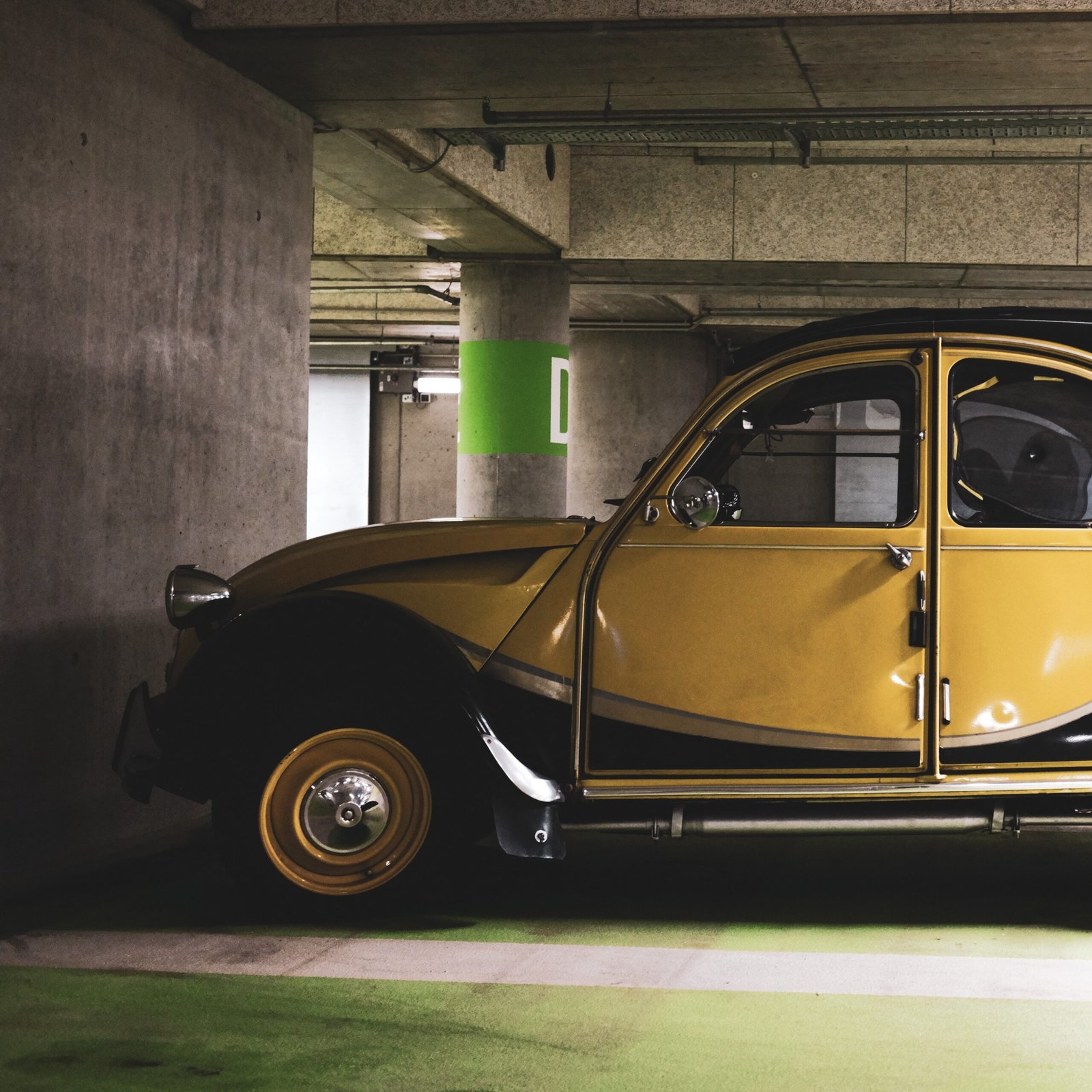 classic-cars-in-the-garage-2026-01-08-06-41-10-utc